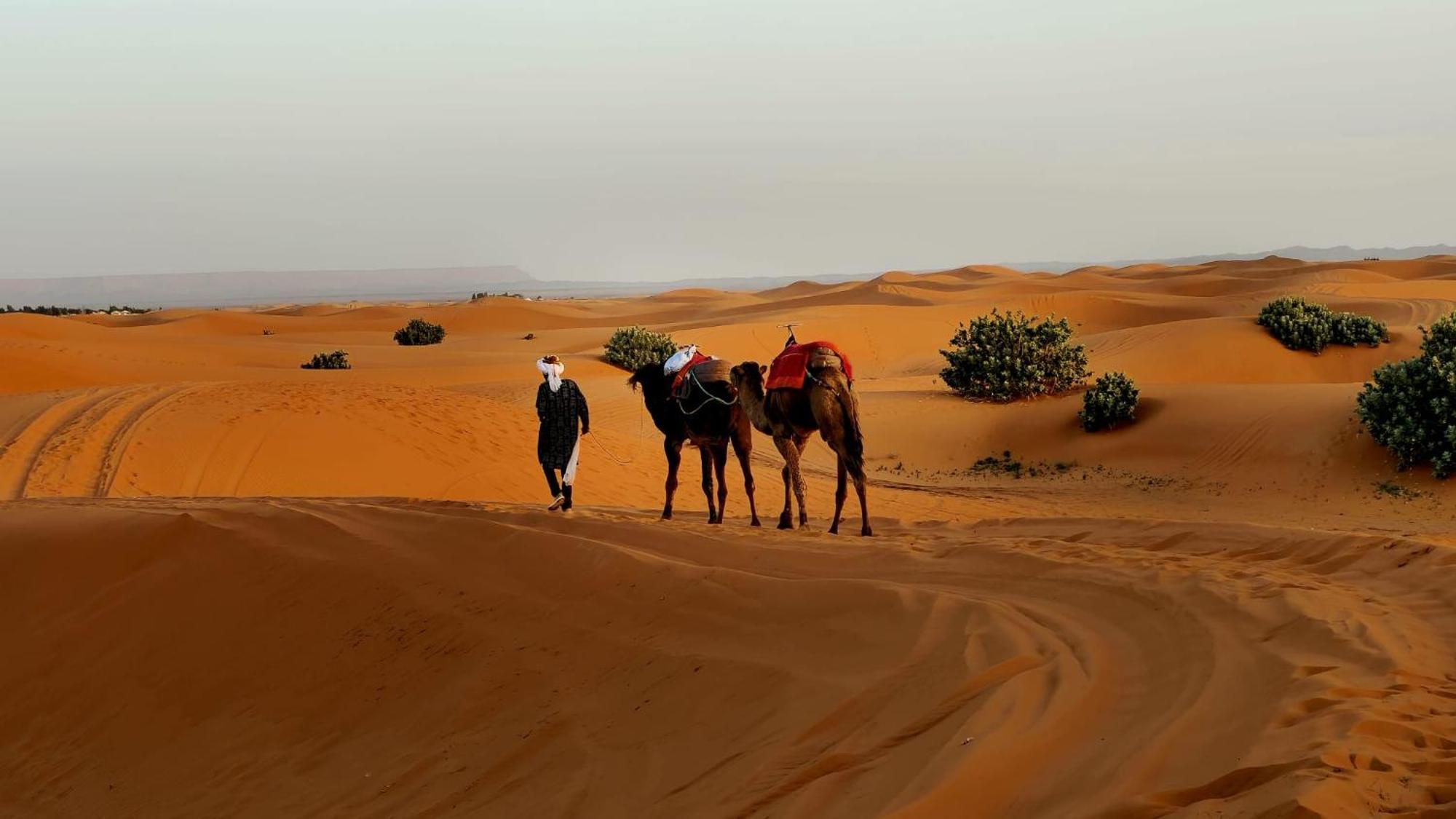 Camp Familia Erg Chebbi Hotell Merzouga Eksteriør bilde